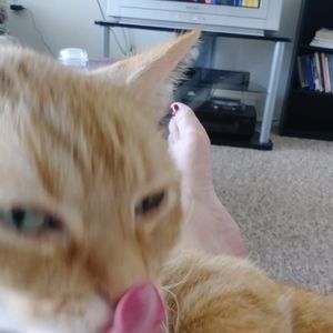 Meet your Posher, Karla